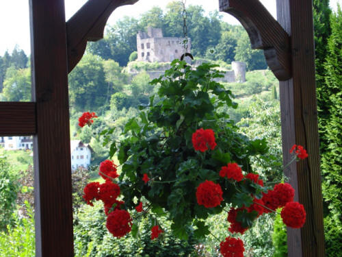Der Blick zur Burgruine Freienstein